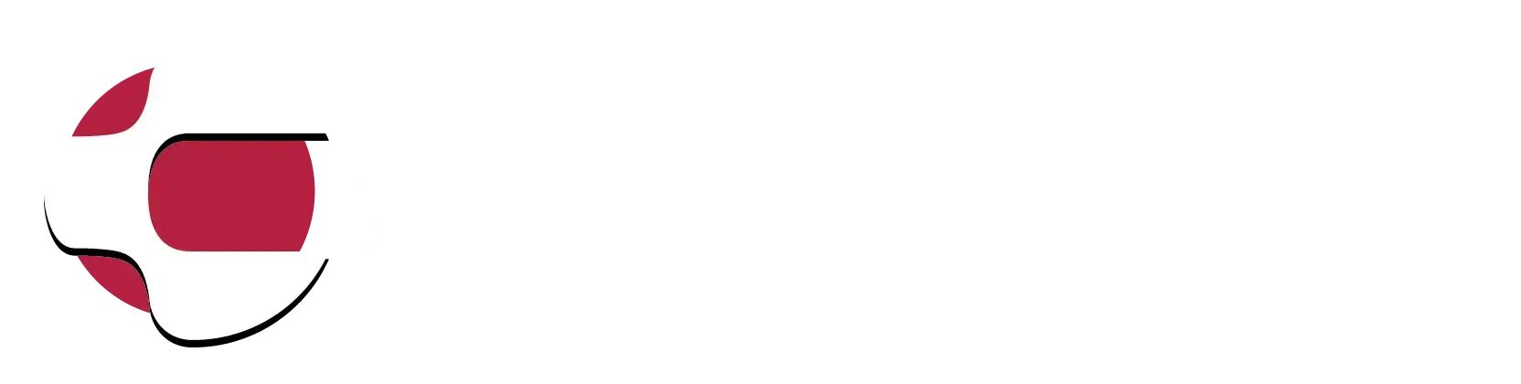 Consid logotyp